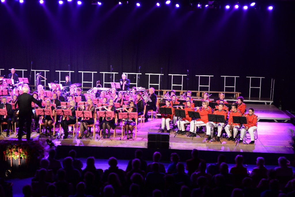 ../Images/Jubileumconcert 100 jaar Harpe Davids 261.jpg